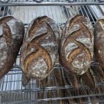 Whole Wheat Sourdough